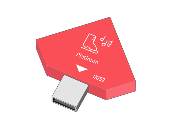 Belevingsmodule Holiday on Ice Platinum