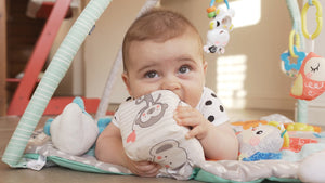 Belevingsmodule Baby's & Kinderen