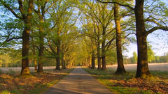 Belevingsmodule Boswandeling