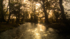 Belevingsmodule Herfst & Winter